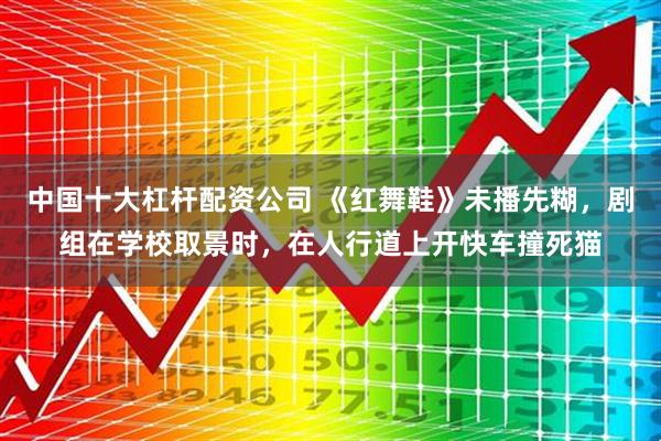 中国十大杠杆配资公司 《红舞鞋》未播先糊，剧组在学校取景时，在人行道上开快车撞死猫